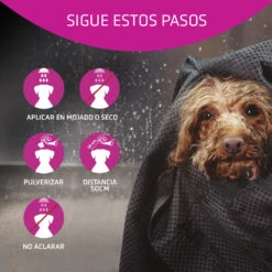 ARTERO Acondicionador Flash 10 ARTERO Acondicionador Flash -Productos Para Perros 03 Pasos H634 64ec84f7387bb