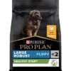 PURINA PRO PLAN Large Robust Puppy Healthy Start -Productos Para Perros 07613035114647 h1n1 01 es 44142651 2