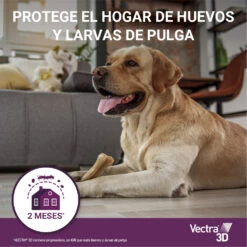 Pipetas 3D Solución Spot-On Para Perros De 25-40kg -Productos Para Perros 08 vectra ProtegeHogarHuevos Larvas 63bd4774358b3