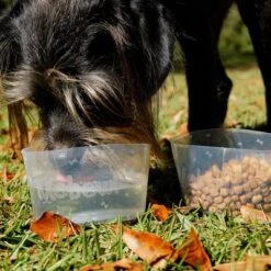 Comedero Plegable Mobowl -Productos Para Perros 111118 texstar mobowl foldablebowl hs 02 9