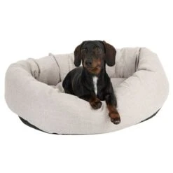 Cama Modern Living Bailey Para Perros 16 Cama Modern Living Bailey Para Perros -Productos Para Perros 111544 hundebett baily fg 0614 5