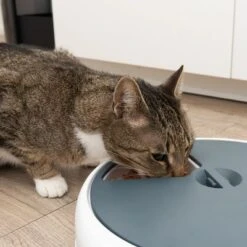 Alimentador Automático Noma -Productos Para Perros 116296 futterautomat noma fg 9445 3