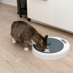 Alimentador Automático Noma -Productos Para Perros 116296 futterautomat noma fg 9456 9