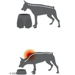 Comedero Alto Savic Ergo Feeder 15 Comedero Alto Savic Ergo Feeder -Productos Para Perros 125461 savic ergofeeder3 1