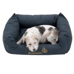 Cama Sleepy Time -Productos Para Perros 145210 sleepy time grau hund2 062013 8