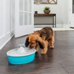 Bebedero Fuente Drinkwell Butterfly De PetSafe 8 Bebedero Fuente Drinkwell Butterfly De PetSafe -Productos Para Perros 145996 radiosystems petsafe drinkwell butterfly trinkbrunnen 1 5l hs 03 1