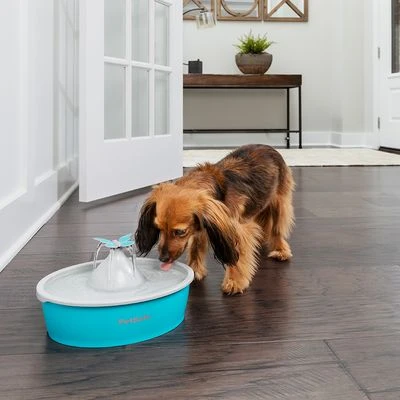 Bebedero Fuente Drinkwell Butterfly De PetSafe 5 Bebedero Fuente Drinkwell Butterfly De PetSafe - Imagen 3