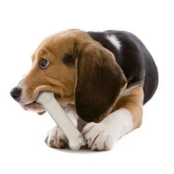 Huesos Nylabone Puppy - Pack De Inicio -Productos Para Perros 150796 interpet nylabone puppy starterkit dogchew hs 04 5