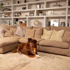 Pet Head Ditch The Dirt Champú Para Perros 10 Pet Head Ditch The Dirt Champú Para Perros -Productos Para Perros 159700 companyofanimals pethead ditchthedirt shampoo 300ml hs 06 9