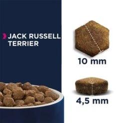 Eukanuba Breed Jack Russell Terrier 6 Eukanuba Breed Jack Russell Terrier -Productos Para Perros 170007 tetragmbhiams eukanuba adult breedspecific jackrussellterrier 2kg hs 05 6