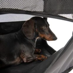 Caseta Plegable Fiona Para Mascotas -Productos Para Perros 173100 faltbare hundekiste fiona fg 6338 4