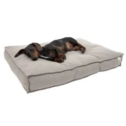 Cama Hamilton EcoLIFE Gris Para Perros -Productos Para Perros 180715 hamilton ecolife grau fg 6399 2