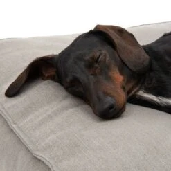 Cama Hamilton EcoLIFE Gris Para Perros -Productos Para Perros 180715 hamilton ecolife grau fg 6400 5