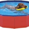 Nayeco Piscina Para Perros -Productos Para Perros 190705 8427458021579 main 1 1