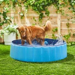 Trixie Piscina Para Perros Azul 14 Trixie Piscina Para Perros Azul -Productos Para Perros 193510 MAIN AC SS600 V1613601708 62a7519b549d8
