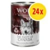 Megapack Wolf Of Wilderness The Taste Of 24 X 400 G 2 Megapack Wolf Of Wilderness The Taste Of 24 X 400 G -Productos Para Perros 1 24x 1000x1000px 4 3