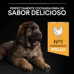PURINA PRO PLAN Large Robust Puppy Healthy Start -Productos Para Perros 1 44142748 es es 221230 1 8