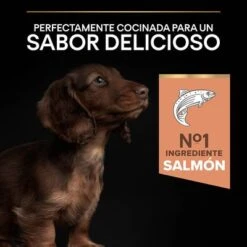 PURINA PRO PLAN Small & Mini Puppy Sensitive Skin 17 PURINA PRO PLAN Small & Mini Puppy Sensitive Skin -Productos Para Perros 1 44152329 es es 221230 1 7