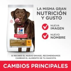 Hill's Science Plan Hill's Adult 1+ Healthy Mobility Large Science Plan Con Pollo -Productos Para Perros 1 atf11 604370 key changes 7