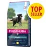 Eukanuba Adult Razas Grandes Con Pollo -Productos Para Perros 1 icon topseller 1000x1000 int 1 0