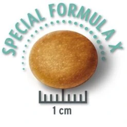 PROMO: Concept For Life Pienso Para Perros 12 + 1,5 Kg ¡gratis! 14 PROMO: Concept For Life Pienso Para Perros 12 + 1,5 Kg ¡gratis! -Productos Para Perros 1 largejunior krokette 3