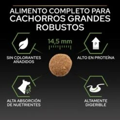PURINA PRO PLAN Large Robust Puppy Healthy Start -Productos Para Perros 1 puprpnddadvhelarpch22ksizldpales 3