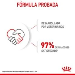 Royal Canin Maxi Puppy 23 Royal Canin Maxi Puppy -Productos Para Perros 1 rc spt dry maxipuppy cv 10 es es 1