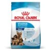 Royal Canin Maxi Starter -Productos Para Perros 1 rc spt dry maxistart mv 2 es es 5