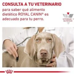 Royal Canin Veterinary Canine Cardiac Pienso Para Perros 17 Royal Canin Veterinary Canine Cardiac Pienso Para Perros -Productos Para Perros 1 rc vdi cardiacdry cv eretailkit 9 es es 6