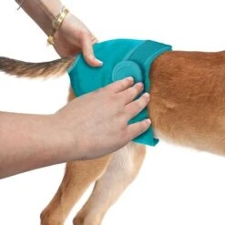 Simple Solution Pañal Lavable Para Perros 19 Simple Solution Pañal Lavable Para Perros -Productos Para Perros 200309 manna pro simple solution waschbare windel hs12 9