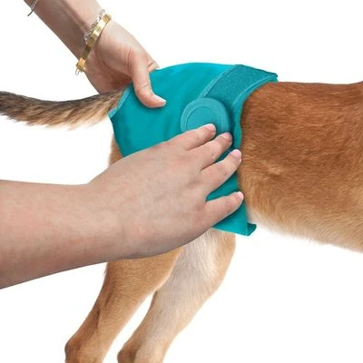 Simple Solution Pañal Lavable Para Perros 5 Simple Solution Pañal Lavable Para Perros - Imagen 3