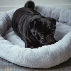 Cama Térmica HAFENBANDE Flory -Productos Para Perros 200322 waagenschmitt hafenbande heizmatte flory hs 11 8