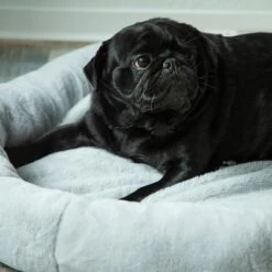 Cama Térmica HAFENBANDE Flory -Productos Para Perros 200322 waagenschmitt hafenbande heizmatte flory hs 12 1