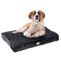 Cojín Ferplast Blacky Para Perros -Productos Para Perros 200997 ferplast hunderkissen blacky hs 08 0