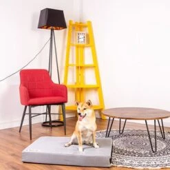 Colchón Classic Para Perros 20 Colchón Classic Para Perros -Productos Para Perros 203327 203328 geop zooplusexclusive hundematratze classic hs 14 1