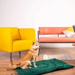 Esterilla De Viaje Brújula Para Perros -Productos Para Perros 203427 geop reise hundematte kompass hs 01 5