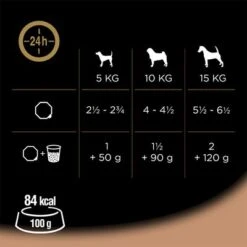 Cesar En Tarrinas 56 X 150 G -Productos Para Perros 206281 marsgemany megapack cesar schale terrine 14x150g hs 05 1