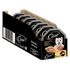 Cesar En Tarrinas 14 X 150 G -Productos Para Perros 206282 marsgemany megapack cesar schale terrine 14x150g hs 02 4 1