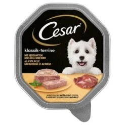Cesar En Tarrinas 14 X 150 G -Productos Para Perros 206282pla marsgemany megapack cesar schale terrine 14x150g hs 01 1 1