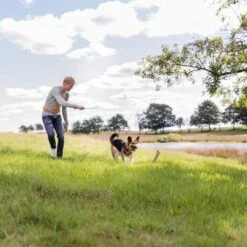 Trixie Caña Estimulante Juguete De Adiestramiento Para Perros -Productos Para Perros 209093 trixie reizangel hs 06 8