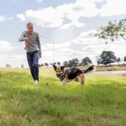 Trixie Caña Estimulante Juguete De Adiestramiento Para Perros -Productos Para Perros 209093 trixie reizangel hs 08 7