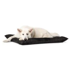 Cama Hunter Bologna Negra Para Perros 14 Cama Hunter Bologna Negra Para Perros -Productos Para Perros 214699 214700 hunter hundebett bologna schwarz hs 06 1