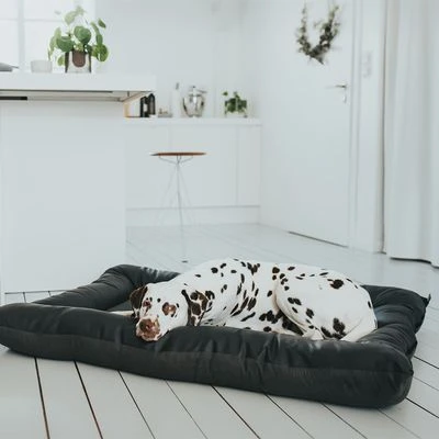Cama Hunter Bologna Negra Para Perros 4 Cama Hunter Bologna Negra Para Perros - Imagen 2