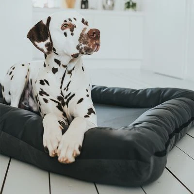 Cama Hunter Bologna Negra Para Perros 11 Cama Hunter Bologna Negra Para Perros - Imagen 9
