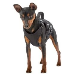 Arnés Ferplast Ergotrekking Negro 15 Arnés Ferplast Ergotrekking Negro -Productos Para Perros 224508 224509 224510 ferplast ergotrekking geschirr schwarz hs 02 4