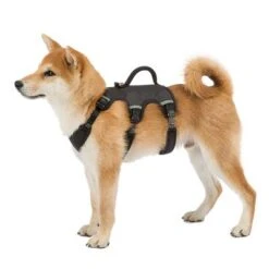 Arnés Ferplast Ergotrekking Negro 23 Arnés Ferplast Ergotrekking Negro -Productos Para Perros 224508 224509 224510 ferplast ergotrekking geschirr schwarz hs 10 4