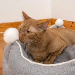 Cama Crown Para Mascotas 22 Cama Crown Para Mascotas -Productos Para Perros 233898 crown mit katze fg 8999 6