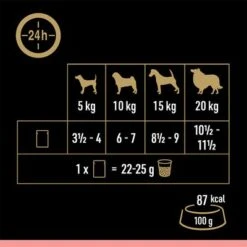 Cesar Selección Carne Con Verduras En Salsa -Productos Para Perros 251096 mars cesar selektion fleisch gemuese sauce 12x100g hs 08 9