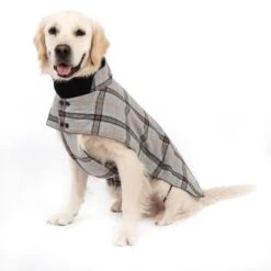 Abrigo Flannel Check Para Perros 19 Abrigo Flannel Check Para Perros -Productos Para Perros 269071 flannel check 60cm fg 2336 5