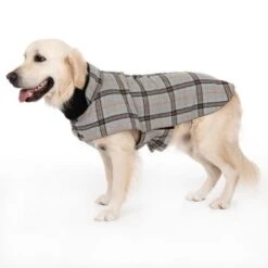 Abrigo Flannel Check Para Perros 22 Abrigo Flannel Check Para Perros -Productos Para Perros 269071 flannel check 60cm fg 2346 8